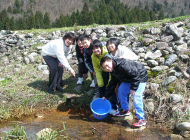 ホタルの飼育放流（2010年）