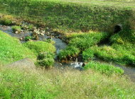 鑑賞場所の日中のようす