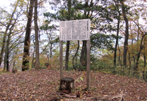 戌山城跡 主郭跡