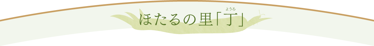 ほたるの里「丁」（ようろ）