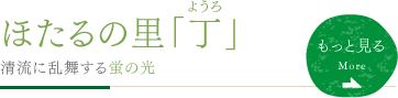 ほたるの里「丁」（ようろ） 清流に乱舞する蛍の光