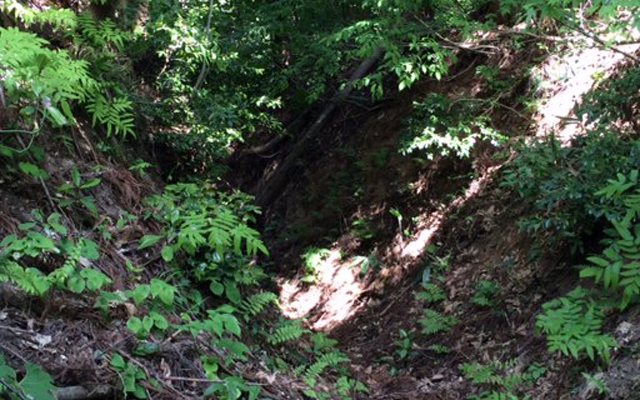 牛ケ原城跡（うしがはらじょうせき）