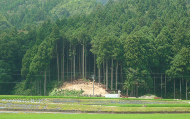 丁（ようろ）古墳群