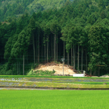 丁（ようろ）古墳群